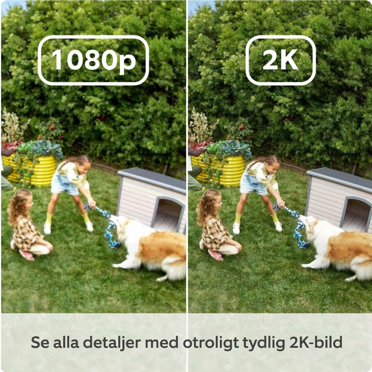 Снимка: Ring, Външна Wi-Fi Видеокамера, Outdoor Cam Plus Battery, Бяла-4