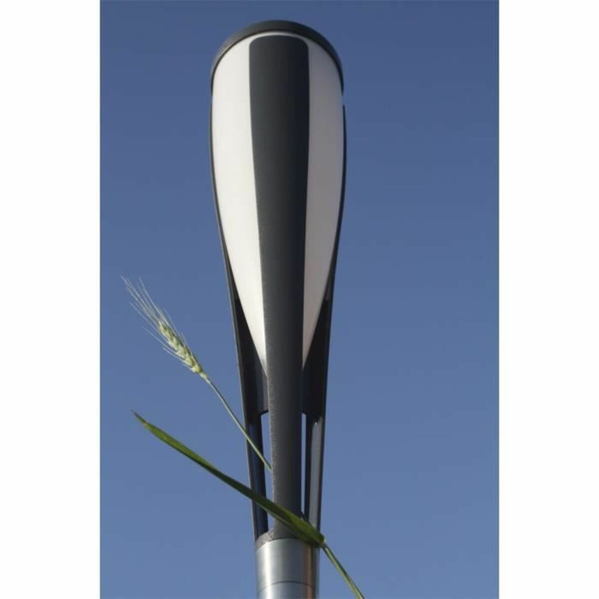 V3H34732F1F8FC6FAA880C5DC0336949B74R5567716P3