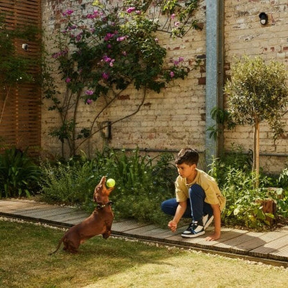 V1H86C91E437767C83FCB09E7DA1B2F0FF3RP9