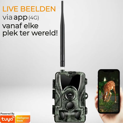 V1HECFB3C5D38CC9B845A6569353E70A17DRP6