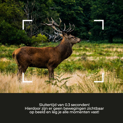 V1HB3B91CCF0617FC3C6958D0EC5C90BEFDRP8