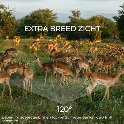 V1H4EF6A0CED4C2CBD1B60C52D6864FF75BRP9