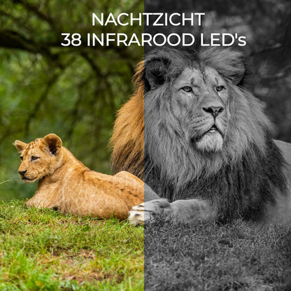 V1H0E2B37E8A2D13E345F80685D441BC73BRP10