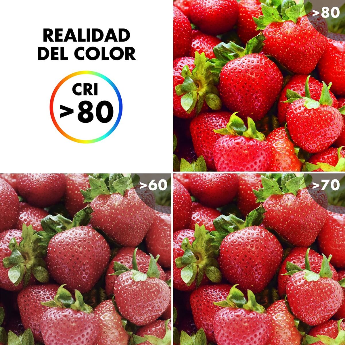 V9HF9F36AFDBB9027F9101AC9AECEDFB2BAR3442406P4