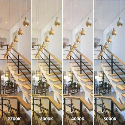 V3HE4322F9E3D105DD87A3033A5522D03EAR4783929P5