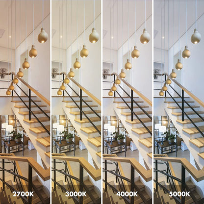 V2H4397A4C1288B37CEB90C963DCDE68446R7592856P7