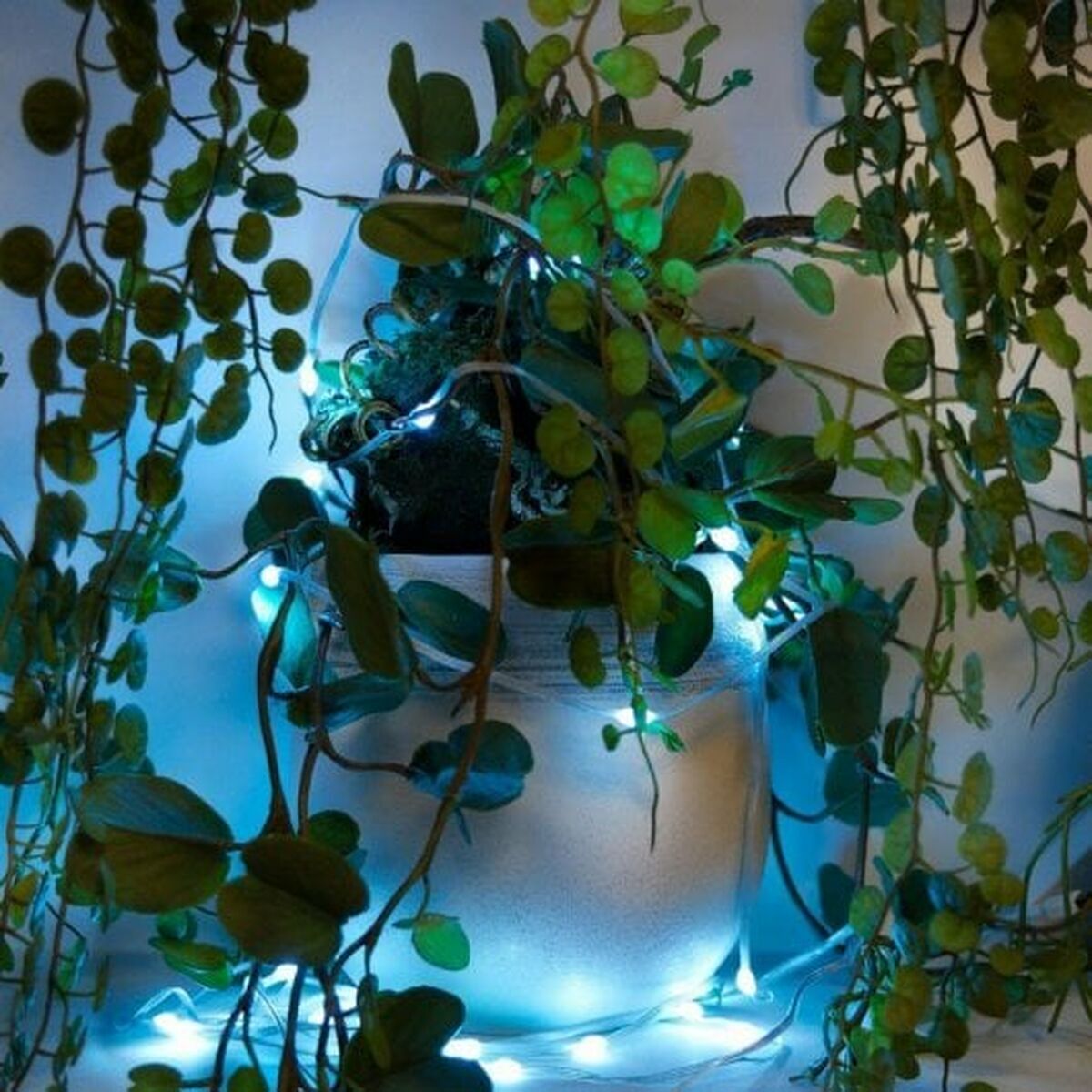 V1HBDEDAA6DC7C1F7F0B78B92E8241D3786RP7