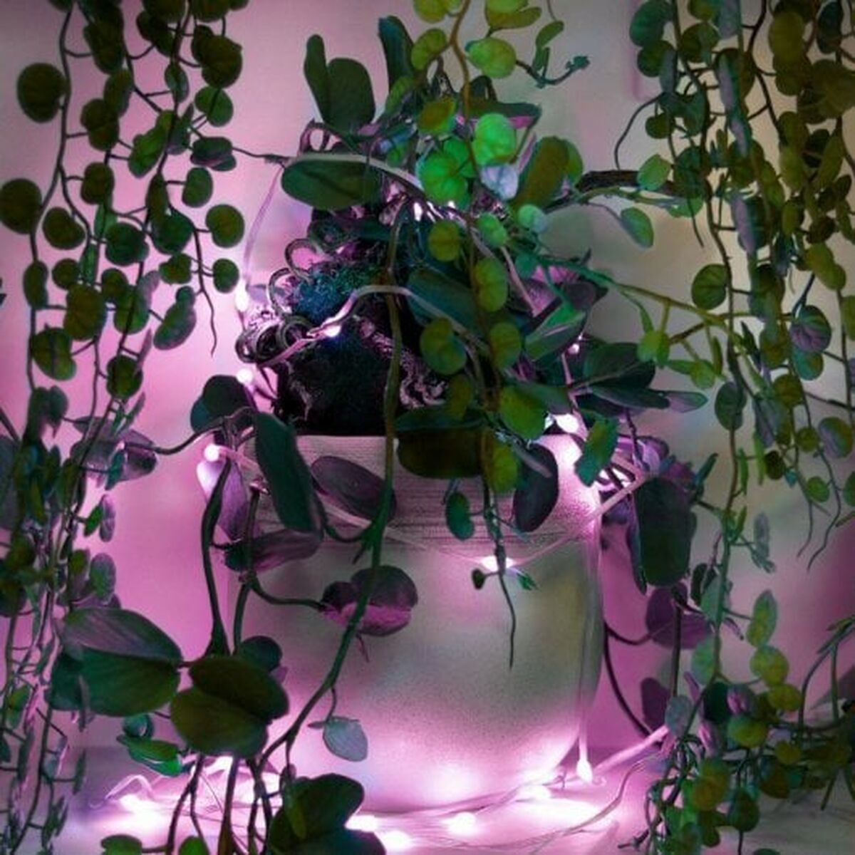 V1H30CEB6F931FAE1A27F922EE104278A46RP8