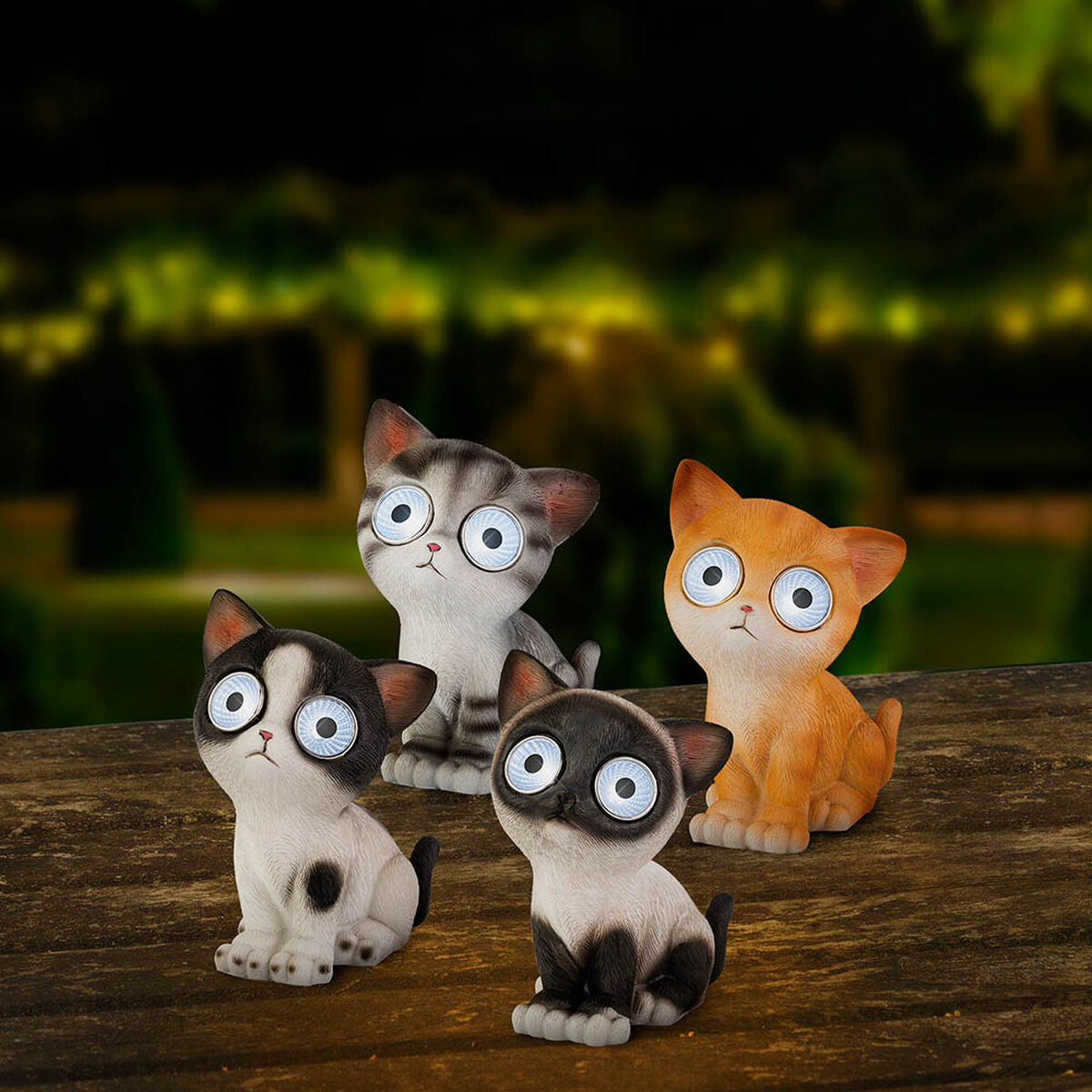 V4HAB0B7260925FD0E389FFA6354CBBFFD7R5566356P6